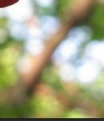 危险无处不在，提高防灾避险意识