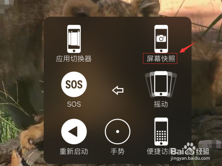 苹果手机如何在视频中截图？