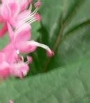 应急避险常识---台风