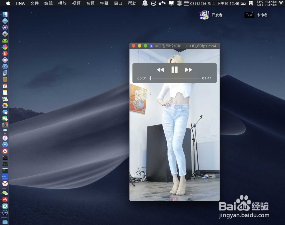 iina播放器怎么用