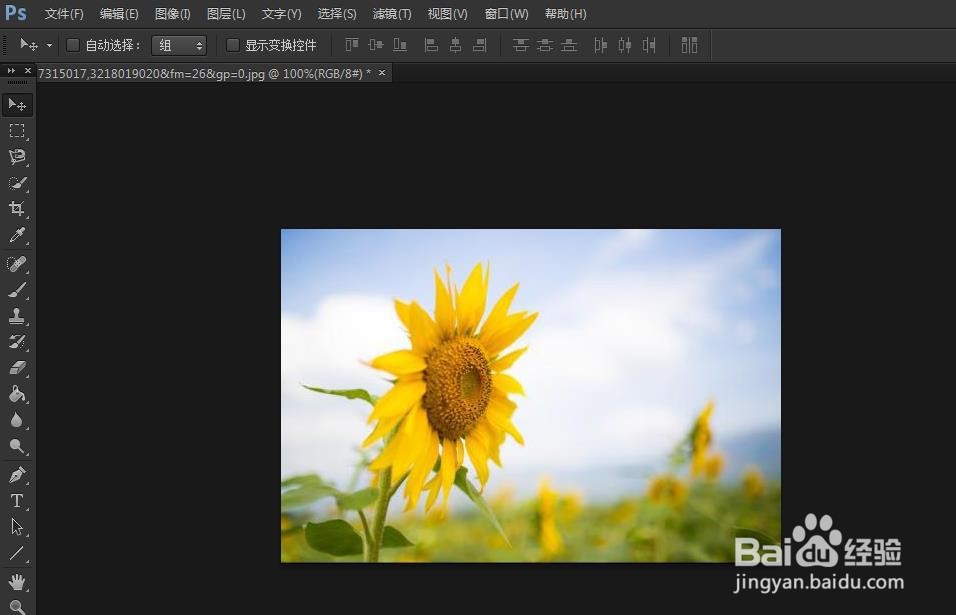 PS如何旋转图像