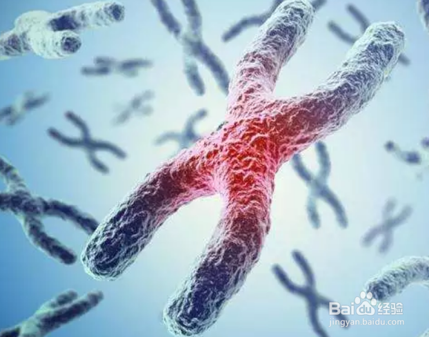 ​解析抗衰老方法很简单吗?我怎么不知道？