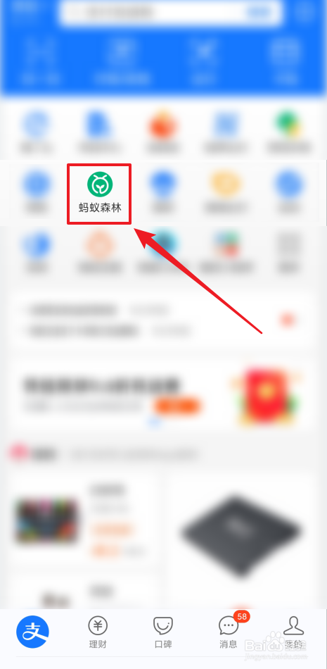 如何查看支付宝蚂蚁森林植树成就