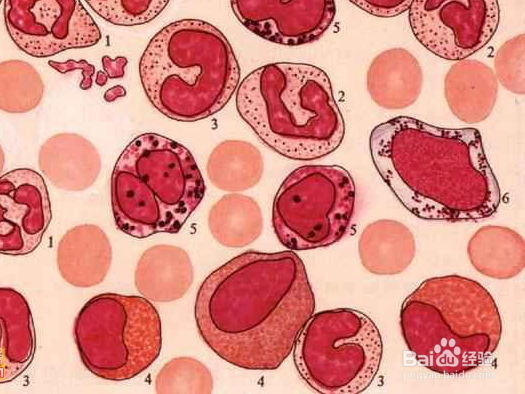 鼻出血怎么办?什么原因引起鼻出血?