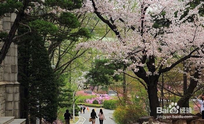 韩国十大美丽大学