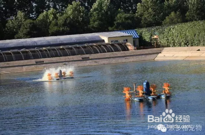 投资小型宠物店如何才能赚钱