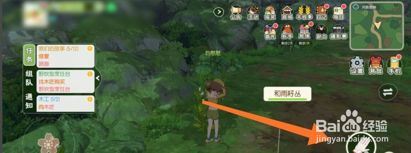 灯闪果丛怎么获得