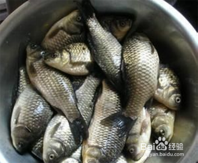 鲫鱼汤怎么做白而不腥