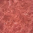 常用地热地板类型及注意事项