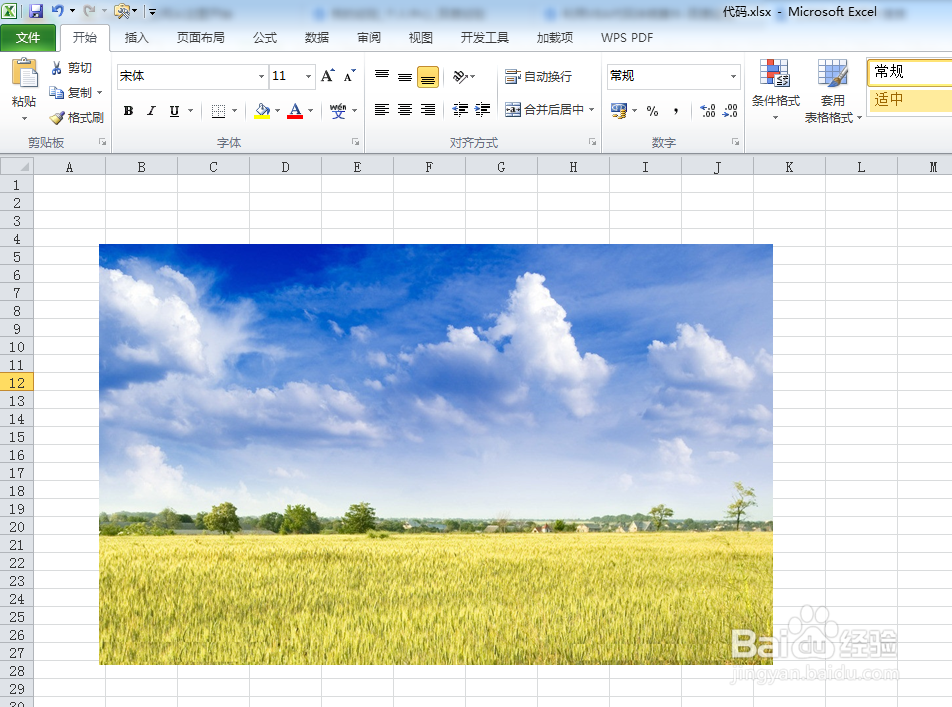 利用VBA代码涂鸦土拨鼠