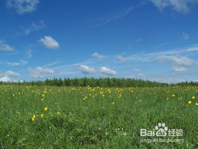 关于人际关系当中的“善良”