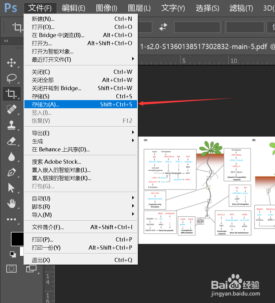 如何从pdf文件中导出高质量图片