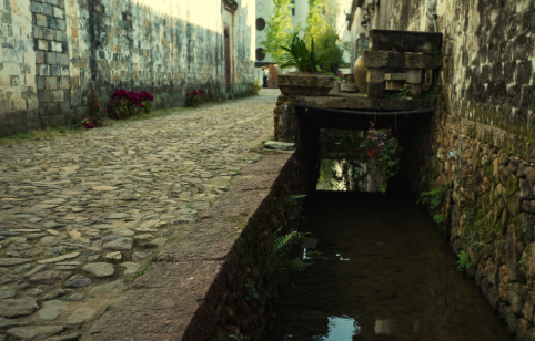 离祖是什么意思