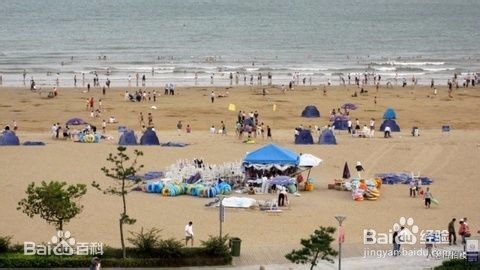 大学生青岛3日行