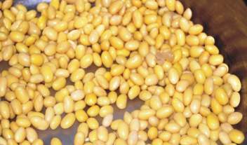 孜然香酥小黄豆