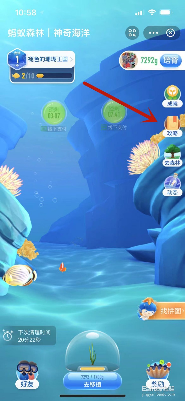 支付宝海洋第六关攻略