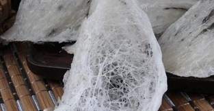 牛油果燕窝的做法