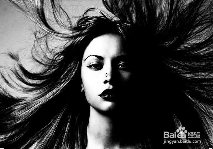 PS抠图之使用计算命令巧妙抠取头发