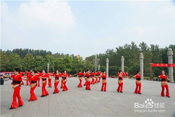 夜之光广场舞背面教程