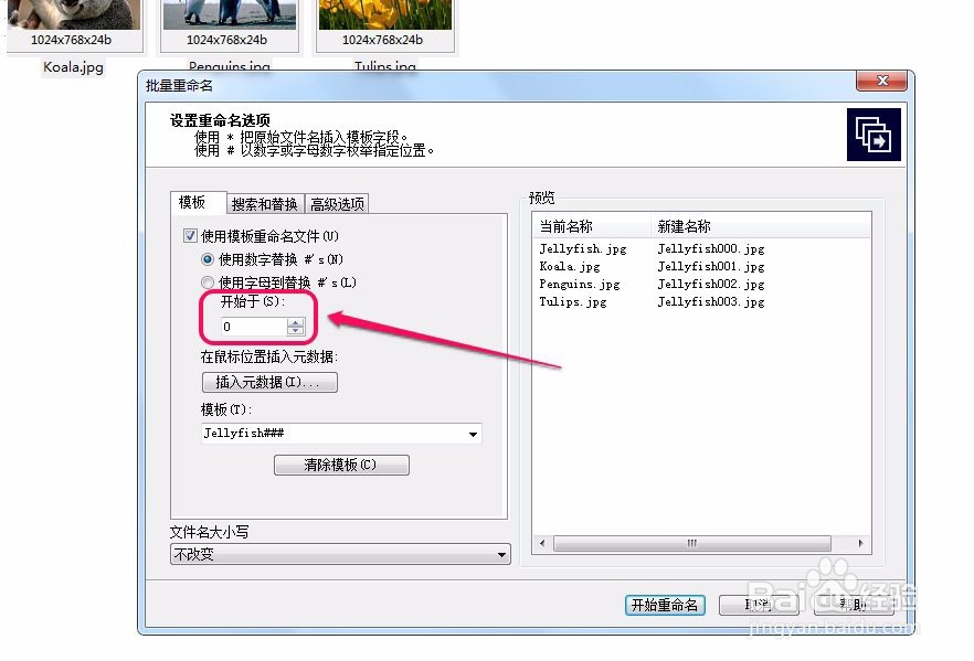 acdsee如何批量(大量多张)重命名(修改名称)图片