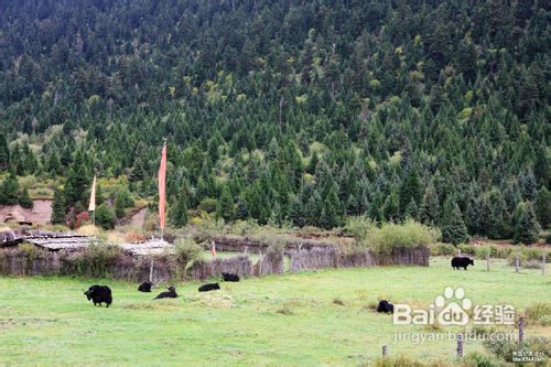 国庆长假我的川西行