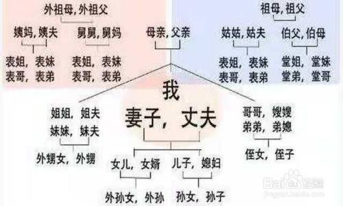 近亲属的范围