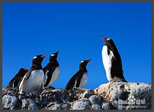 怎么用GIMP的单色混合器效果