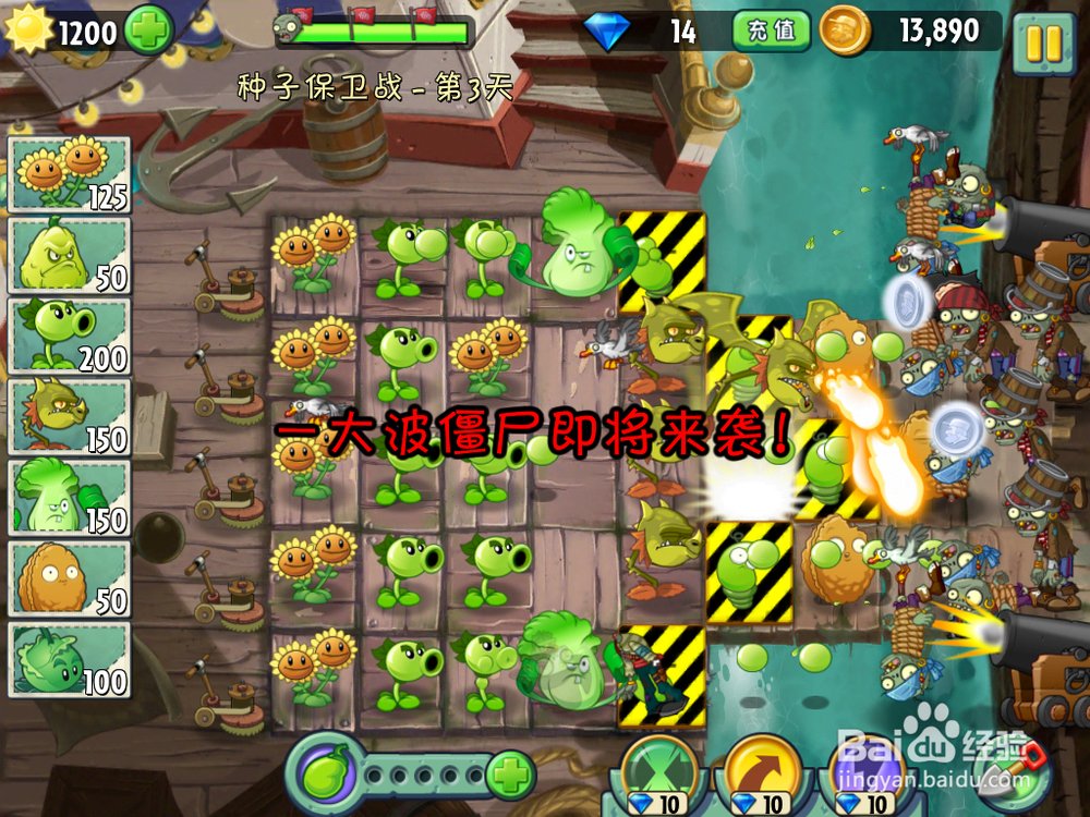 植物大战僵尸2 海盗港湾 种子保卫战第三天