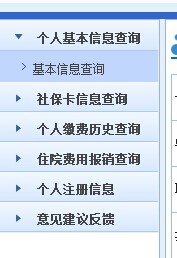 查询个人社会保险详细信息？