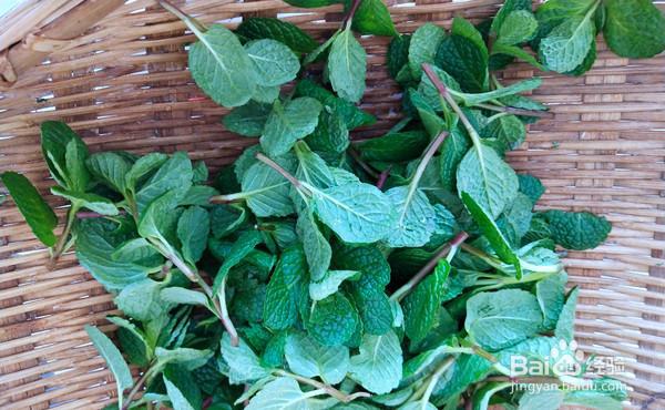 一步步做大家都喜欢的炝拌十香菜