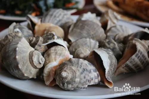 如何清洗海螺壳没腥味?