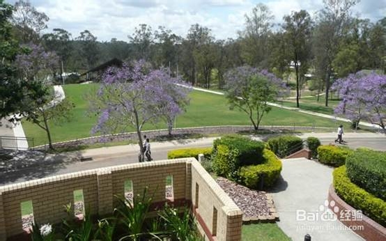 学院街攻略：[11]南昆士兰大学申请攻略