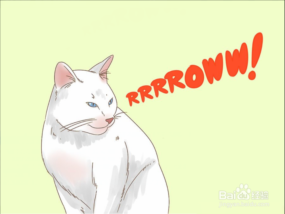 3个步骤教您如何快速与您的猫沟通（图文）