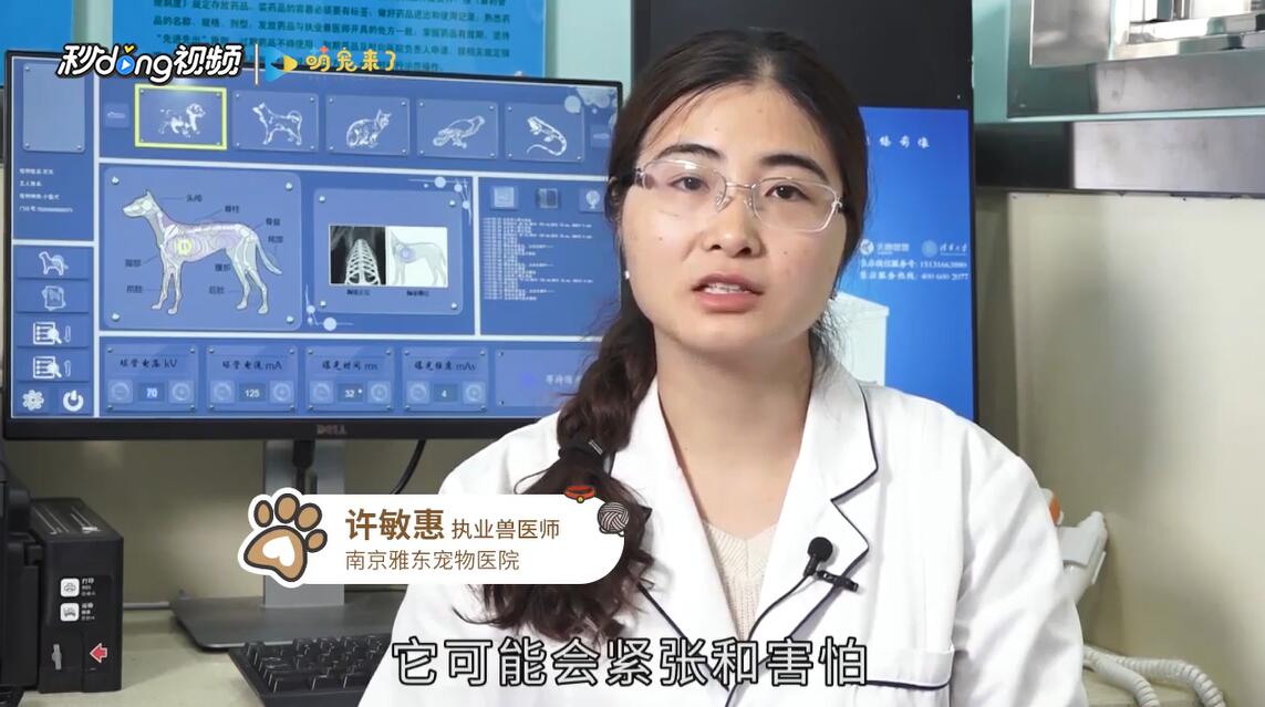 冬天养猫要注意什么问题