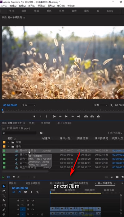 pr怎么批量导出项目