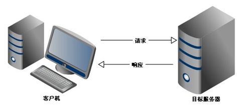 HTTP请求拦截与篡改技术原理