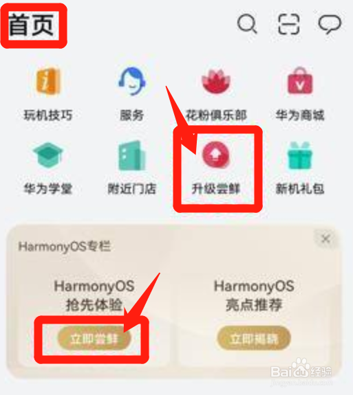 华为mate40怎么升级鸿蒙系统