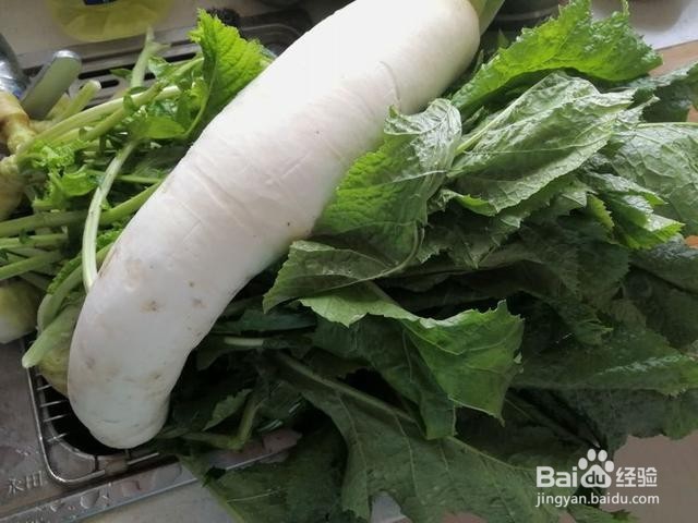 如何在家中制作萝卜炖猪肺