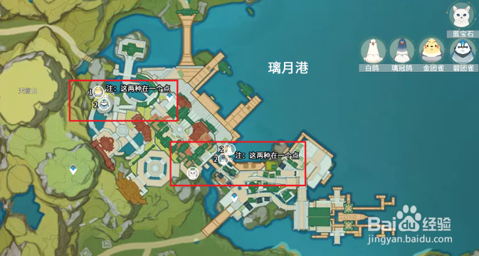 原神小动物分布位置大全