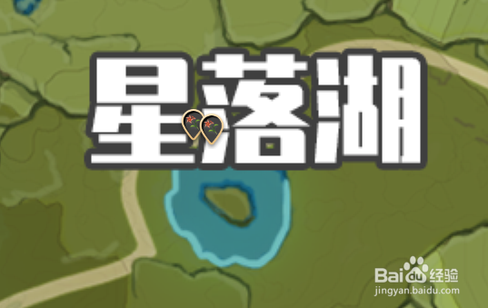 原神风车菊哪里比较多?