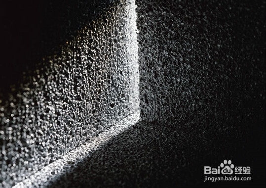 如何才能预防家中进老鼠