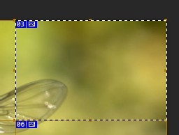 ps疑问解答：[2]ps不能完成拷贝任务解决办法