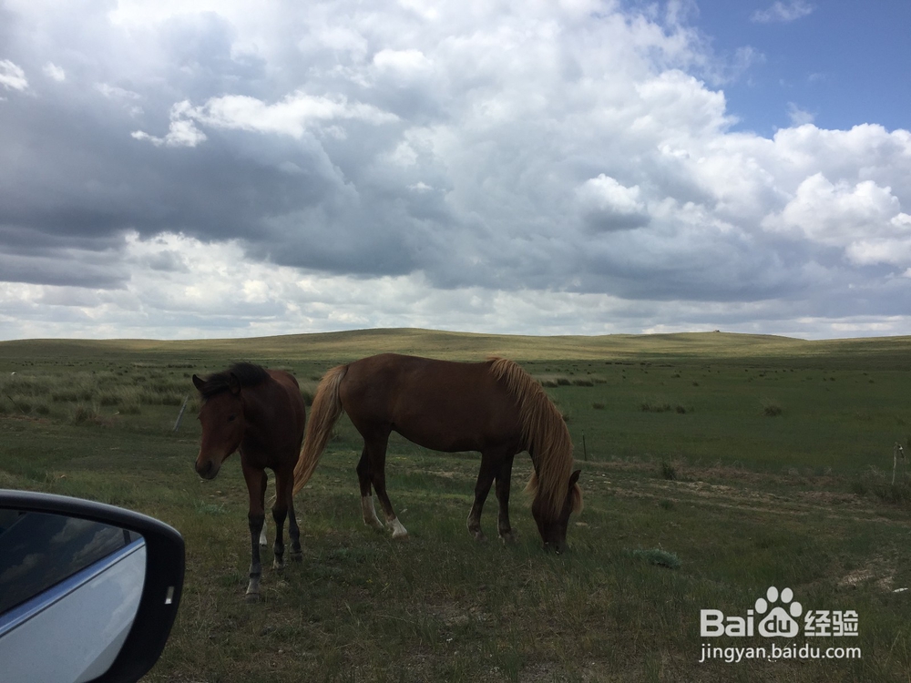 暑假内蒙七日游