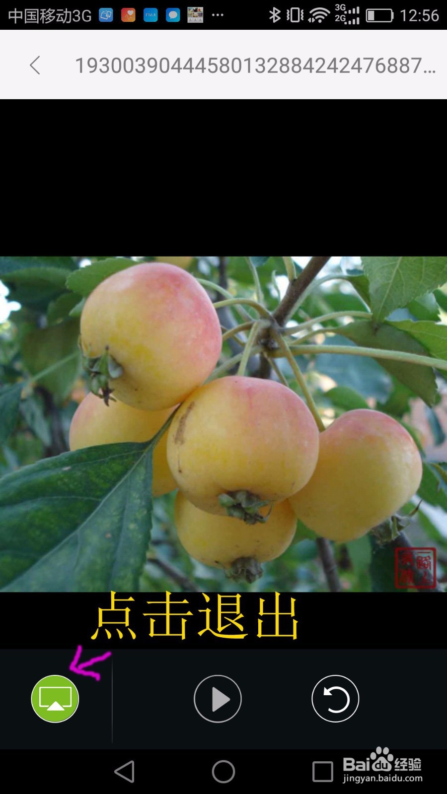 怎样将手机上的视频和图片传到网络电视上