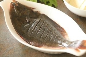 在家制作比目鱼炖豆腐