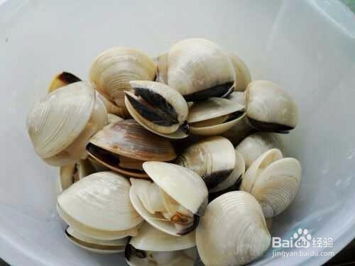 白贝豆腐萝卜汤