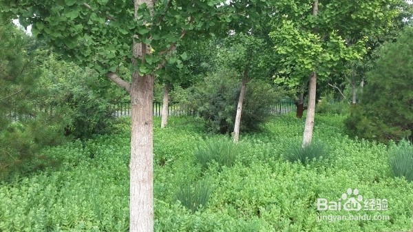 SAMSUNG 三星 J3 Pro体验报告