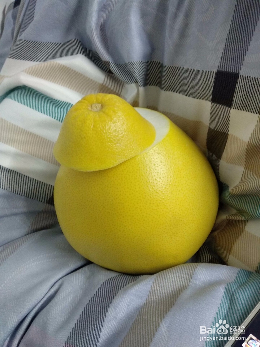 教你怎样轻松快速包柚子