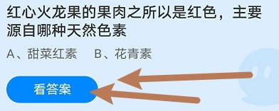 红心火龙果的红色果肉,主要源自哪种天然色素