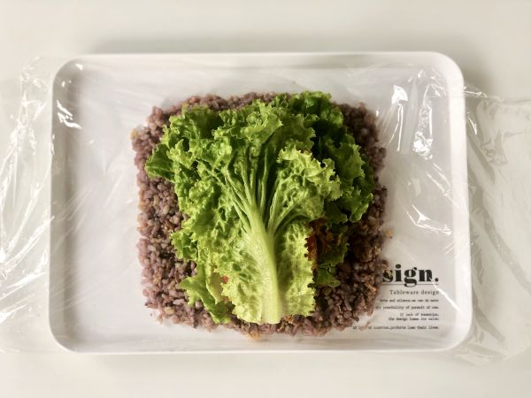 午餐肉杂粮饭团